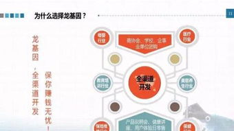 龍基因加盟 實體店培訓成就火爆加盟店，教育信息咨詢助力創業成功